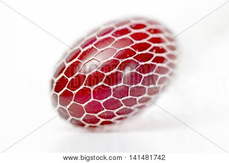 picture of a krill oil gel capsules in white net