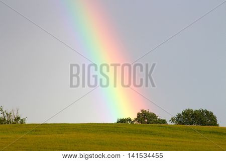 Rainbow rises from the bush on the hill