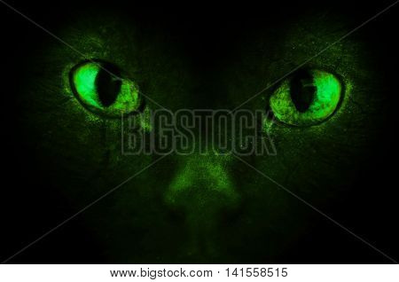 An illustration of the green scary demonic eyes.