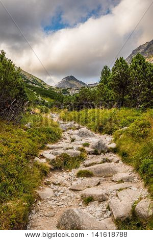 Rocky Hiking Trail in the Mountains with Mountain Peak on Cloudy Day. Mlynicka Valley High Tatra Slovakia.