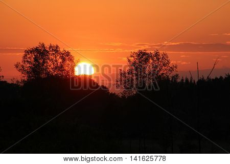 Nice colored sunset on a meadow at springtime