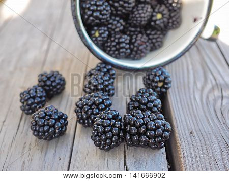 Fresh Blackberries in a Cup Lying on Wooden Background. Horizontal.