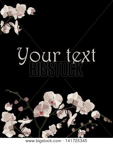 Postcard with white orchids on a black background.