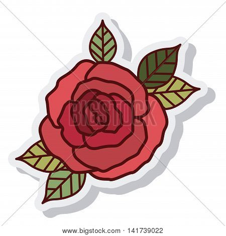 floral flower decoration isolated cion vector illustration design