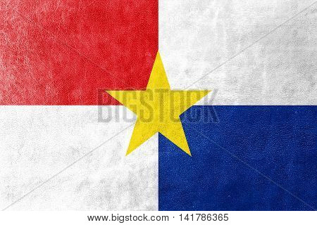 Flag Of Monteria, Colombia, Painted On Leather Texture