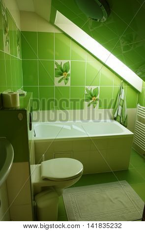 Lubica PRESOV SLOVAKIA - JULY 07 2016: The interior of bathroom in green colour with white bath in slovakian house in Lubica village Kezmarok High Tatras.