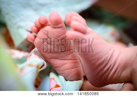 Tiny Foot Of Newborn Baby