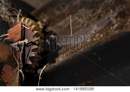 Deatail of rusty gear, part of old machine