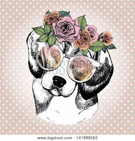 Vecotr portrait of dog wearing the floral wreath and sunglasses. Hand drawn vintage trendy illustration. Beagle breed. Isolated on polka dot and rose gold background.
