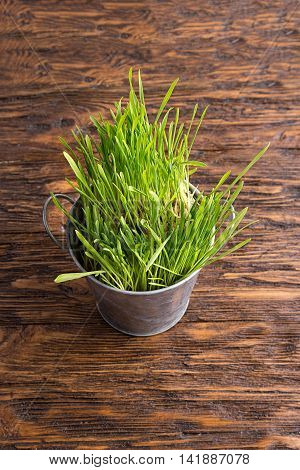 sprouted wheat on the wooden background. top view