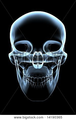 Menneskelige kranium - X-ray forfra