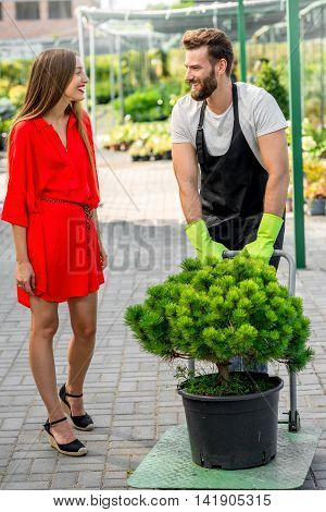 Handsome flower seller helping female buyer to take out a tree with trolley from the plant store. Customer service and delivery in the flowers shop