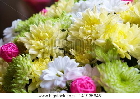 Background from colorful asters flowers in a bouquet. Decorative cheerful bouquet with delicate flowers and petals.