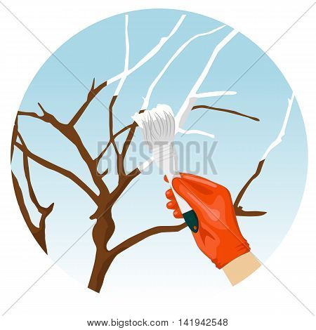 Whitewashing of trees in the spring in the garden