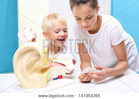 Help scientific model of the human ear. Anatomy of a child on biology lesson.
