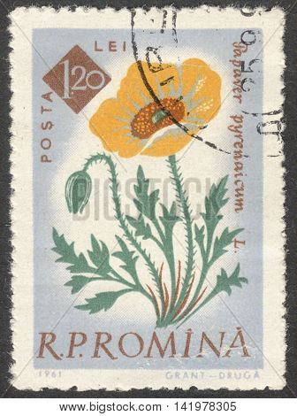 MOSCOW RUSSIA - CIRCA MAY 2016: a post stamp printed in ROMANIA shows Papaver pyrenaicum flower the series 