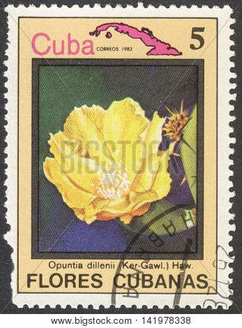MOSCOW RUSSIA - CIRCA MAY 2016: a post stamp printed in CUBA shows Opuntia dillenii flower the series 