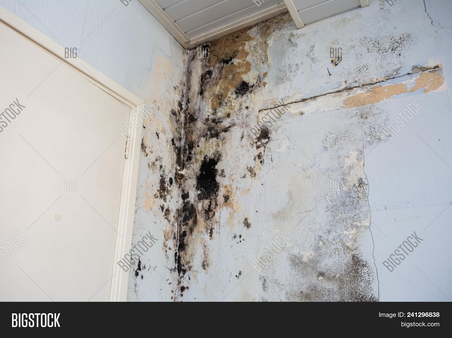 Water Damage Causing Image Photo Free Trial Bigstock