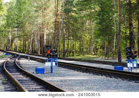 Railway In The Beautiful Forest Of Pines And Penetrating Rays Of The Sun In The Summer