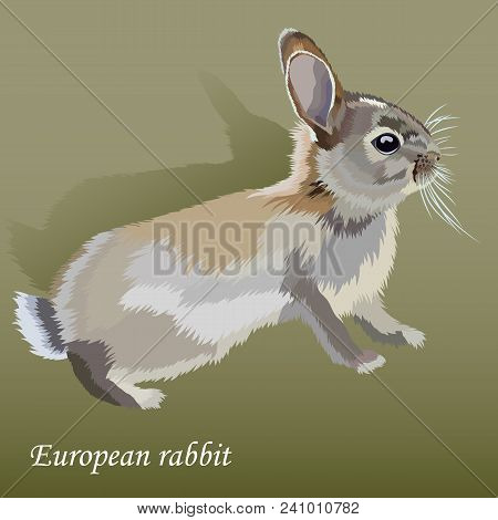 Cute Realistic Little European Rabbit,  Isolated, On A Green Background, Vector Illustration