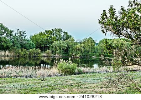 River, Shrunken Reeds And Fresh Spring Greens