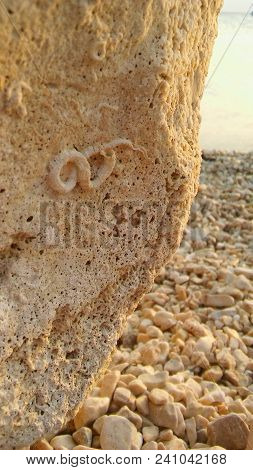 Relaxing And Enjoying A View Of The Sea Stone With An Ornament On It Resembling Fossil With The Sea 