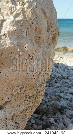 Relaxing And Enjoying A View Of The Sea Stone With An Ornament On It Resembling Fossil With The Sea 