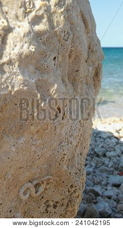 Relaxing And Enjoying A View Of The Sea Stone With An Ornament On It Resembling Fossil With The Sea 