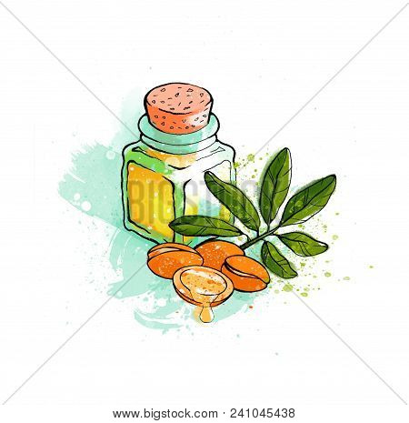 Hand Drawing Illustration, Colorful Bright Essential Aromatic Argan Oil In The Bottle With Agran Tre
