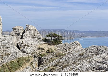 Deep Crack In The Rock. The Top Of Cape Alchak. Crimea, Beginning Of April.