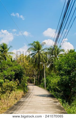 Local Road On Koh Kret