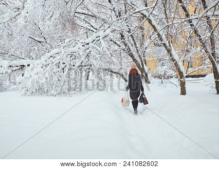 Moscow Winter Snowy Day View On Woman Trying To Pass Snow Pile To Bypass Fallen Trees Under Snow. He