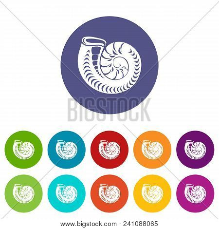 Round Shell Icon. Simple Illustration Of Round Shell Vector Icon For Web