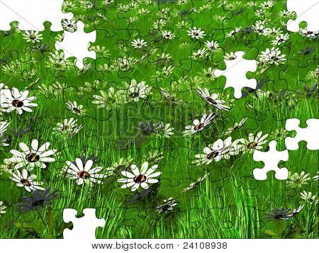 Natur puzzle