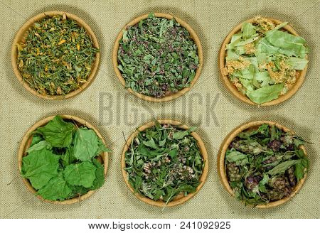 Set Of Healing Herbs. Dried Grass For Use In Alternative Medicine, Spa, Herbal Cosmetics, Herbal Med