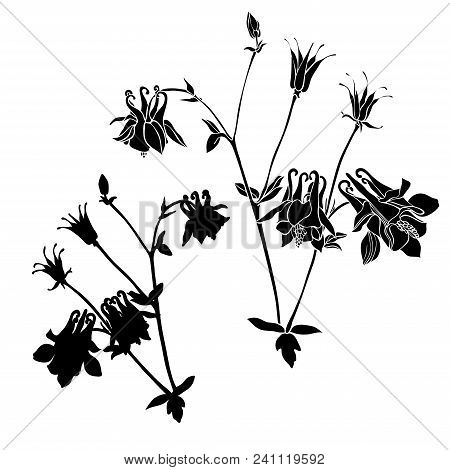 Beautiful Botanical Vector With Flowers Watershed. Black Silhouettes On White Background.