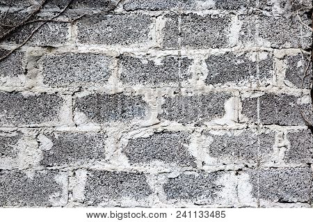 Green Ivy Plant Climb On Old White, Big Brick Wall Background