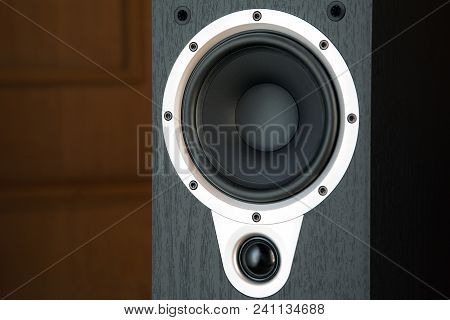 Black Speaker Close-up Floor System In The Listening Room