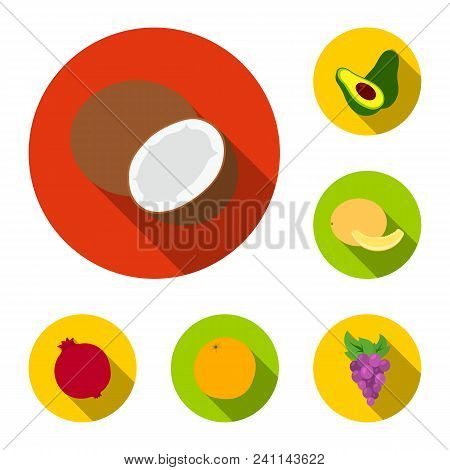 Different Fruits Flat Icons In Set Collection For Design. Fruits And Vitamins Vector Symbol Stock  I