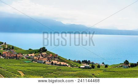 Lavaux, Switzerland - August 30, 2016: Lavaux Vineyard Terrace, In Switzerland