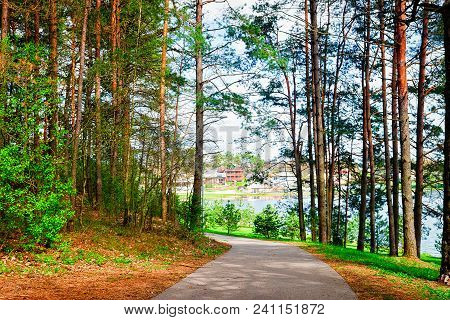 Walkway In The Pine Forest In Druskininkai, Lithuania. Spring
