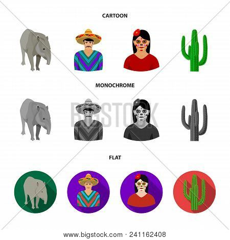 Tapir Mexican Animal, A Mexican In National Clothes In A Poncho, A Woman With A Flower, A Cactus. Me