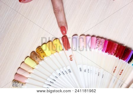 Manicured Hands And Nail Color Samples. Woman Choose The Color Of Polish On Nails Color Palette. Wom