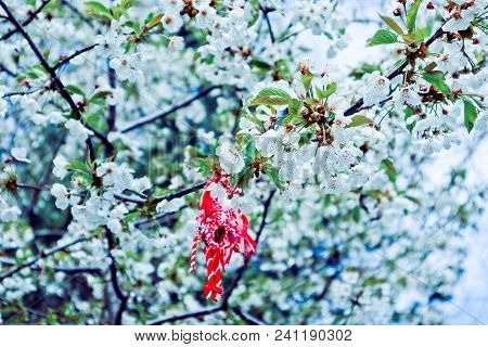 Macro Spring View Of The Tree Brunch With Green Fresh Lovely Leaves. 
Blurred Forest And A Blue Sky 
