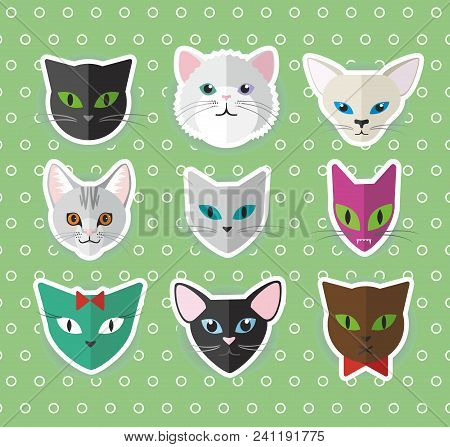 Cat Heads Vector Set, Modern Cute Illustration