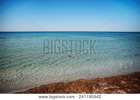 A Wild Beach And A Pigeon Sea Water On A Lovely Sunny Day