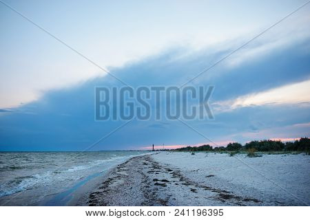 A Wild Beach And A Pigeon Sea Water On A Lovely Sunny Day