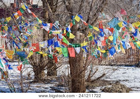 Elista, Kalmykia, Russia - March 6, 2018: Buddhist Praying Flags On Tree In Buddhist Complex Golden 