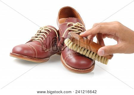 The Horsehair Brush