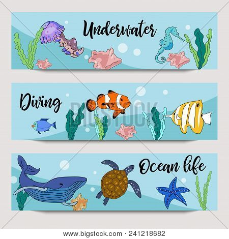 Underwater Horizontal Banners. Vector Hand Drawn Illustration Of Oceal Life, Diving, Sea Animals, Co